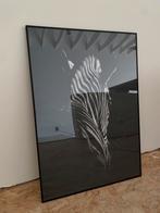 Plexiglas kader met zebraposter, Huis en Inrichting, Woonaccessoires | Schilderijen, Tekeningen en Foto's, Zo goed als nieuw, Ophalen