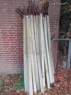 Betonnen weipalen, Weidegang, 1 paard of pony