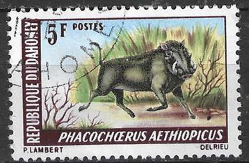 Dahomey 1968/1969 - Yvert 265 - Everzwijn (ST) beschikbaar voor biedingen