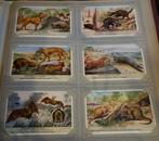 Set Liebig Prenten Zoogdieren van Australie (1955)., Ophalen of Verzenden, Zo goed als nieuw, 1940 tot 1960, Dier