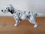Super mooie Engelse Setter. Royal Doulton porcelain, Ophalen of Verzenden