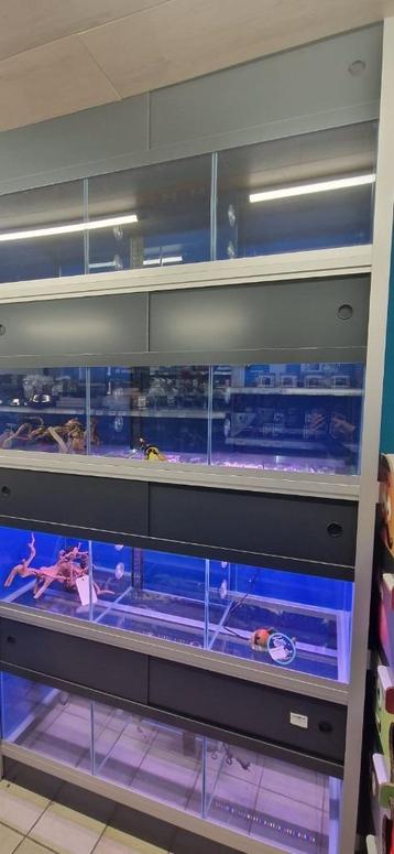 Nieuwe aquarium stelling  beschikbaar voor biedingen