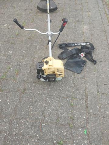 Bosmaaier te koop beschikbaar voor biedingen