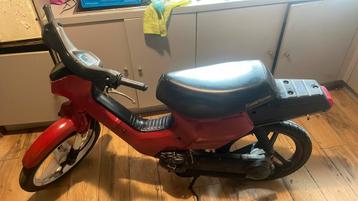 Honda wallaroo beschikbaar voor biedingen