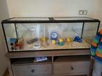 Terrarium, glazen kooi /hok + speelgoed hamster, Dieren en Toebehoren, Ophalen, Zo goed als nieuw, Kooi, Hamster