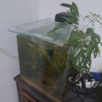 A vendre aquarium 30l, Dieren en Toebehoren, Vissen | Aquaria en Toebehoren, Ophalen, Gebruikt, Gevuld zoetwateraquarium