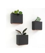 Kazai. Alma wandplantenbakken, Huis en Inrichting, Ophalen