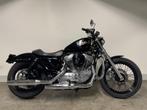 Harley-Davidson SPORTSTER XL883L SPECIAL (bj 2009), Motoren, Motoren | Harley-Davidson, 883 cc, Meer dan 35 kW, Overig