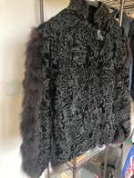 Jas in astrakan, Enlèvement, Comme neuf, Taille 46/48 (XL) ou plus grande
