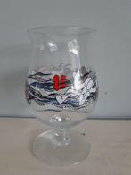 DUVEL glazen van 12,00 euro, Verzamelen, Ophalen of Verzenden, Nieuw, Duvel