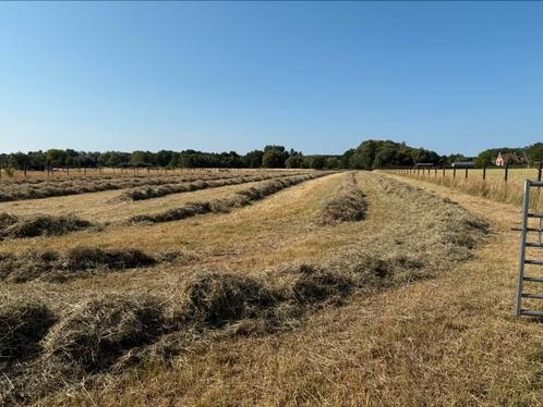 Grote pakken (120*90) droog hooi ingepakt, Dieren en Toebehoren, Stalling en Weidegang, Stalling, 1 paard of pony