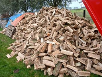 1 ste keus brandhout haardhout eik beuk es wilg populier 