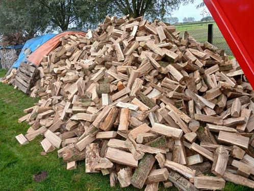 1 ste keus brandhout haardhout eik beuk es wilg populier, Tuin en Terras, Brandhout, Blokken, Eikenhout, 6 m³ of meer, Ophalen