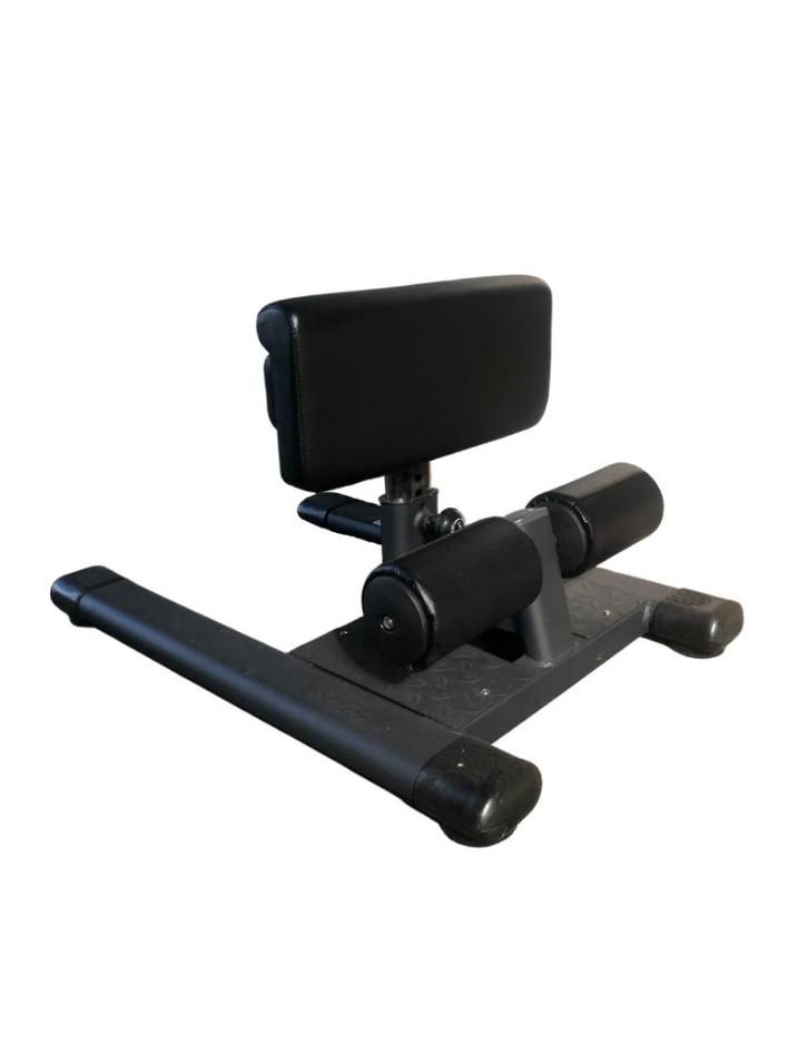 Gymfit sissy squat station | squat bank | kracht, Sport en Fitness, Fitnessmaterialen, Zo goed als nieuw, Overige typen, Armen