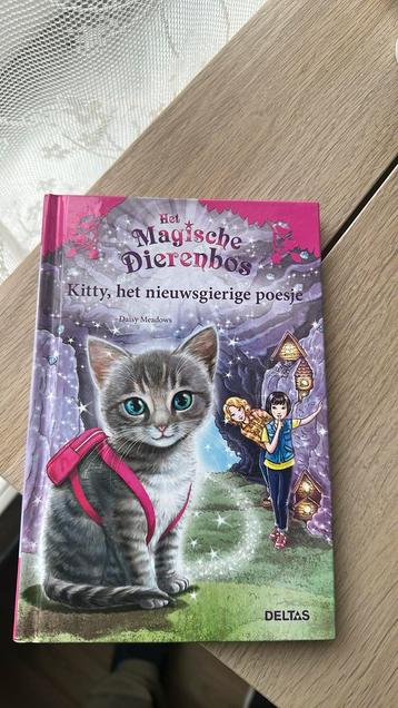 Daisy Meadows - Kitty, het nieuwsgierige poesje beschikbaar voor biedingen