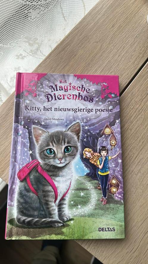 Daisy Meadows - Kitty, het nieuwsgierige poesje, Boeken, Kinderboeken | Jeugd | onder 10 jaar, Zo goed als nieuw, Ophalen