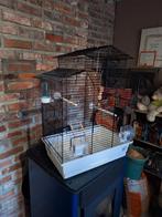Vogelkooi, Ophalen, Nieuw, Vogelkooi