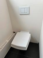 Hangtoilet met spoelbak en drukplaat Geberit, Doe-het-zelf en Bouw, Sanitair, Steen, Toilet, Gebruikt, Ophalen