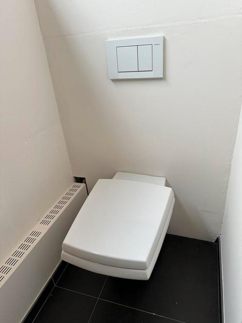 Hangtoilet met spoelbak en drukplaat Geberit, Doe-het-zelf en Bouw, Sanitair, Gebruikt, Toilet, Steen, Ophalen