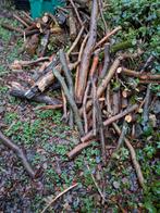 Gratis brandhout te Ekeren, Ophalen