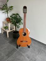 Cuenca Model S-10 klassieke gitaar - massief ceder bovenblad, Muziek en Instrumenten, Ophalen, Gebruikt, Klassieke of Spaanse gitaar