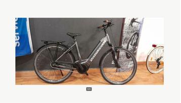 ELEKTRISCHE FIETS beschikbaar voor biedingen