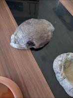 cachette en coco neuf, Dieren en Toebehoren, Ophalen of Verzenden, Nieuw, Overige typen