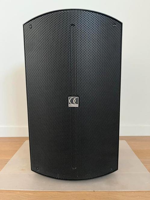 Audiophony ATOM12A actieve speaker met DSP, Audio, Tv en Foto, Luidsprekerboxen, Zo goed als nieuw, 120 watt of meer, Ophalen