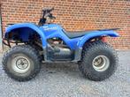 Quad Yamaha Grizzly 125cc, Motoren