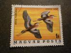 Hongarije/Hongrie 1977 Mi 3173A(o) Gestempeld/Oblitéré, Enlèvement ou Envoi
