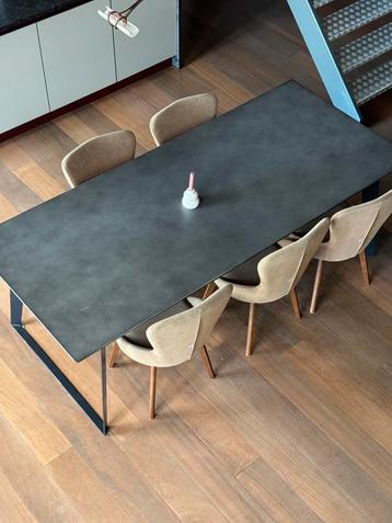 Grote tafel (8 personen : 230-100 cm), Huis en Inrichting, Tafels | Eettafels, Ophalen, Overige materialen, Gebruikt, 100 tot 150 cm