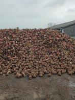 Voederbieten, Enlèvement