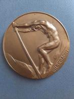 Grote bronzen medaille DE WILSKRACHT 75 mm, Postzegels en Munten, Ophalen of Verzenden, Brons