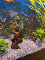 Zeer mooi en speciaal tropisch hout voor aquarium, 5 stuks, Dieren en Toebehoren, Vissen | Aquaria en Toebehoren, Ophalen, Sierelement
