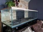 Grand aquarium 1200 litres full équipé, Dieren en Toebehoren, Ophalen of Verzenden, Zo goed als nieuw