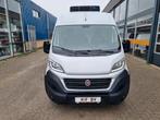 Fiat Ducato Maxi 2.3 JTD Koelwagen Multitemp Xarios 350MT ST, Voorwielaandrijving, Parkeersensor, Gebruikt, Wit