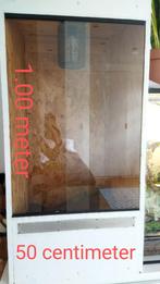 Lot terrarium