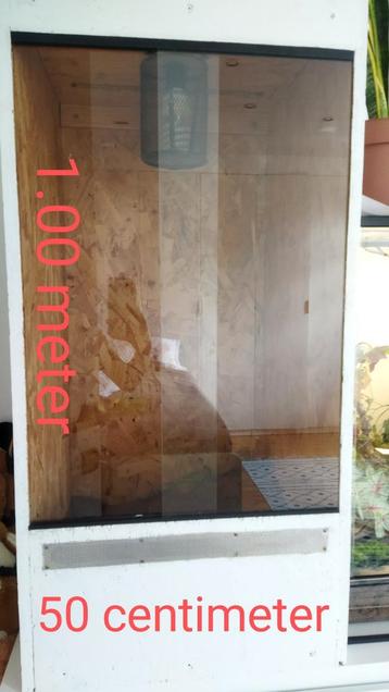 Lot terrarium  beschikbaar voor biedingen