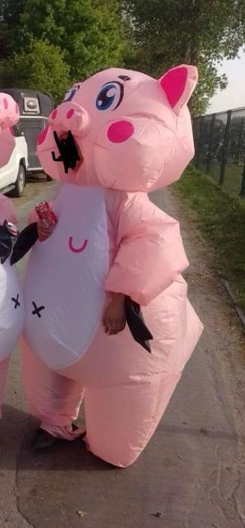 Opblaasbaar varkenspak beschikbaar voor biedingen