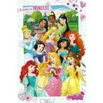 Disney Princess Maxi Poster, Kinderen en Baby's, Ophalen of Verzenden, Nieuw, Wanddecoratie