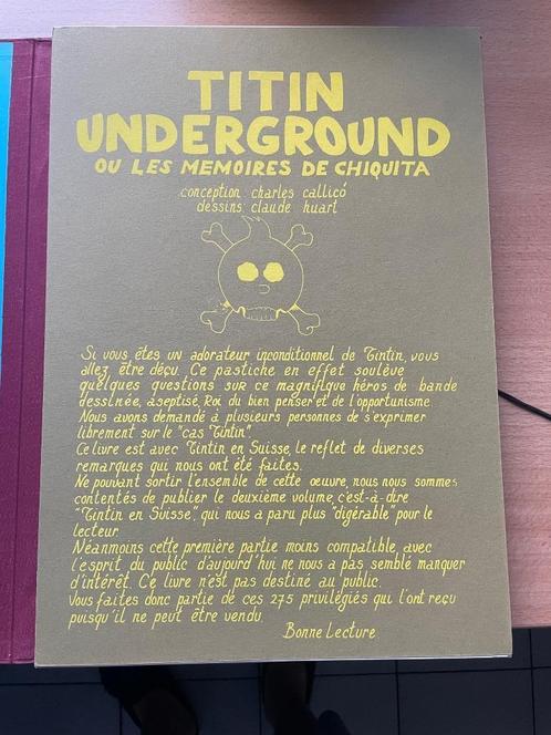 Tintin underground Claude Huart porte folio, Livres, Romans, Comme neuf, Belgique, Enlèvement