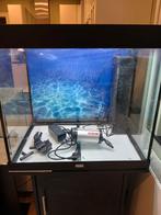 Aquarium JUWEL LIDO 200 L + meuble, Enlèvement ou Envoi, Utilisé, Aquarium vide