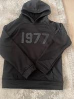 1977 essential hoodie, Ophalen