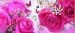 Voorgedrukt borduurpakket nieuw ongeopend roze rozen 48x143, Set à broder, Broderies à la main, Enlèvement ou Envoi, Neuf