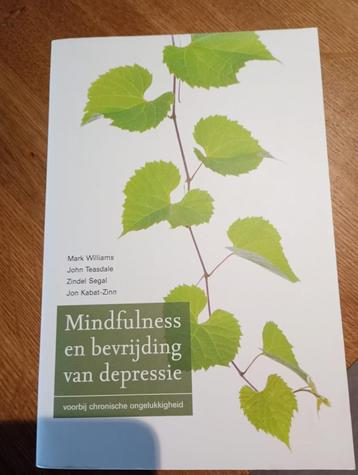 Mindfulness en bevrijding van depressie beschikbaar voor biedingen