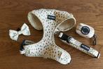 Ensemble de harnais pour chien — blanc crème à pois colorés, Animaux & Accessoires, Accessoires pour chiens, Enlèvement ou Envoi