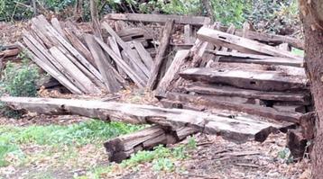 oude eik - knutselhout of brandhout beschikbaar voor biedingen