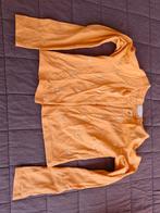 Gillet staxo maat 152, Enlèvement ou Envoi