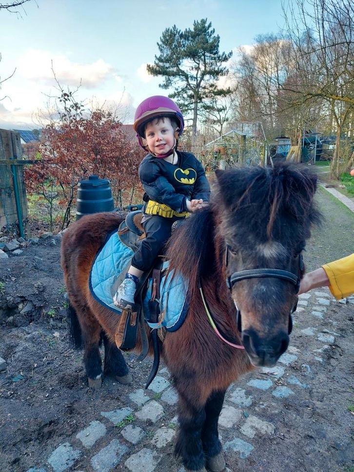 Ferre SUPER BRAVE  A- pony, Animaux & Accessoires, Chevaux & Poneys | Guêtres en cloche, Enlèvement
