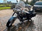 Kawasaki vn800, Particulier